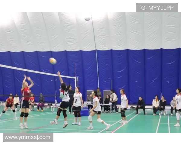 与刘娜畅谈排球生涯的辉煌与挑战之路 与刘娜畅谈排球生涯的辉煌与挑战之路