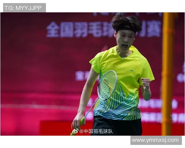 南京羽毛球队实力对比深度解析与未来发展展望