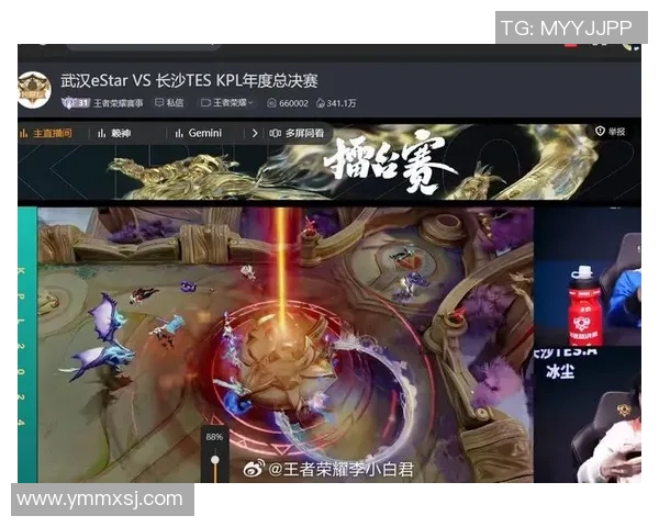 王者荣耀专题深度解析TES战队的节奏与战略布局 王者荣耀专题深度解析TES战队的节奏与战略布局