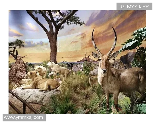 亲近自然,探索未知:开启全季户外活动之旅,畅享健康与冒险的完美结合 亲近自然,探索未知:开启全季户外活动之旅,畅享健康与冒险的完美结合