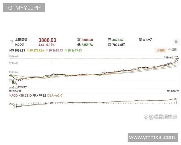 全球股市震荡加剧 美联储加息预期升温 中国经济数据引发市场关注 全球股市震荡加剧 美联储加息预期升温 中国经济数据引发市场关注