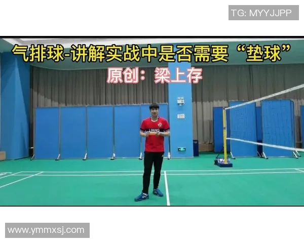 专访陈伟：深入探讨排球背后的成功秘诀与训练哲学