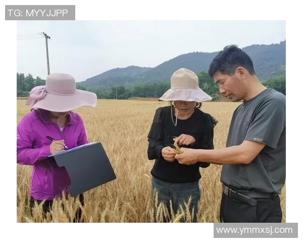 南京攀岩队包夹策略分析与成效评估探讨