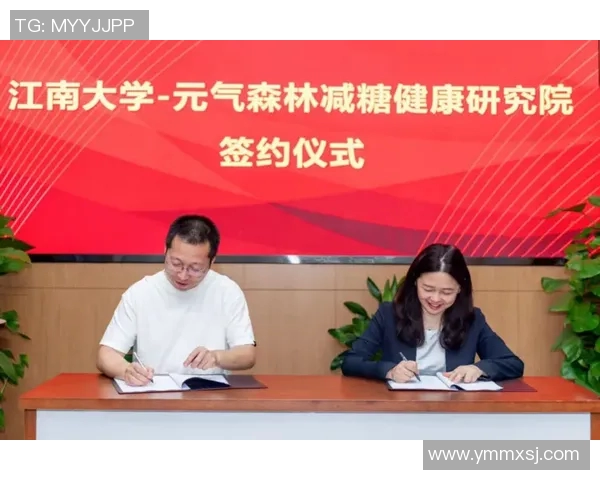 北京网球队配合策略分析与提升路径探讨